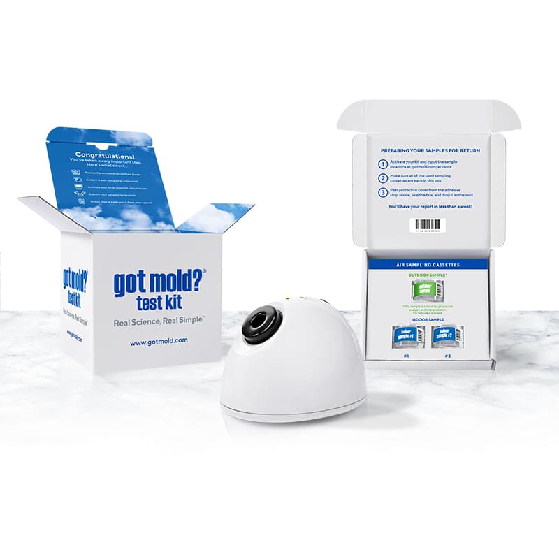 Mold Test Kits | Home Air Quality Tests | GOT MOLD?
