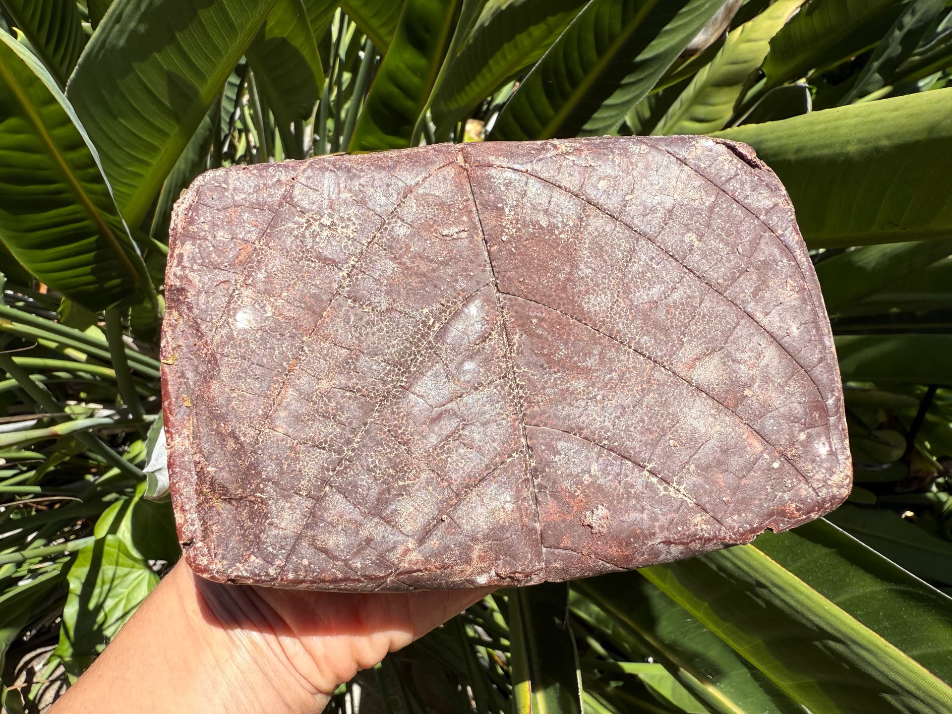 Ceremonial Cacao Brick: Colombia