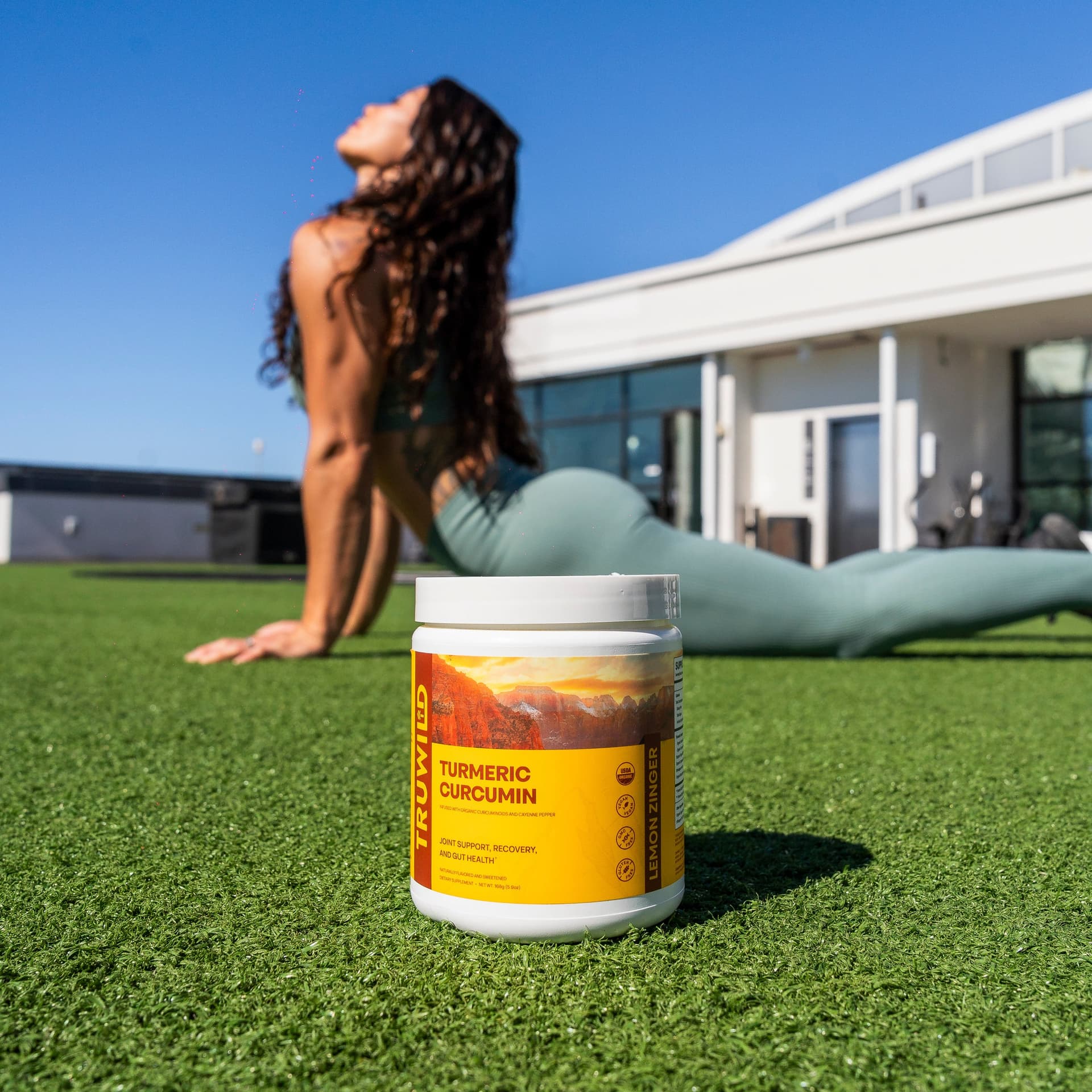 Turmeric Curcumin - Natural Recovery